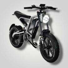 E Carus   Trail Bike 1